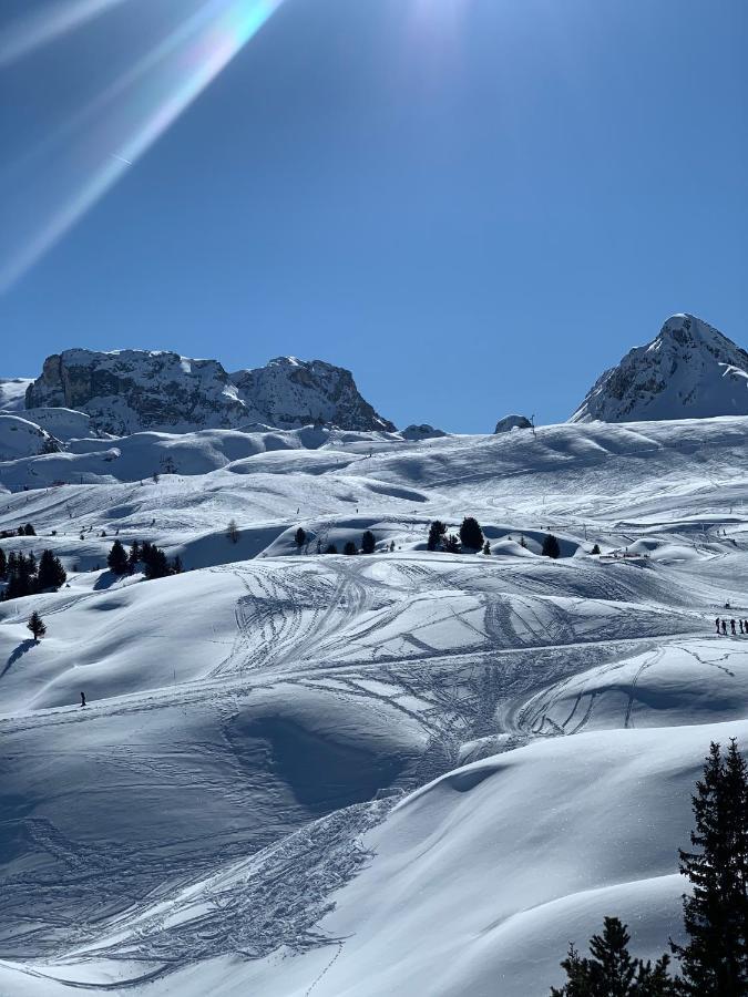 لا بلاني Bel Appartement Ski Aux Pieds Plagne Bellecote المظهر الخارجي الصورة