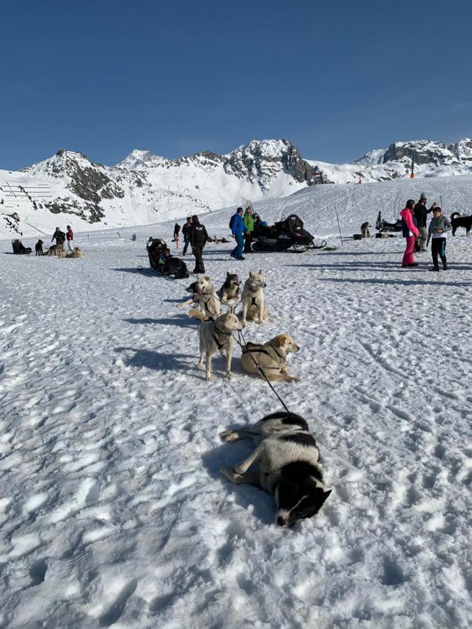 لا بلاني Bel Appartement Ski Aux Pieds Plagne Bellecote المظهر الخارجي الصورة