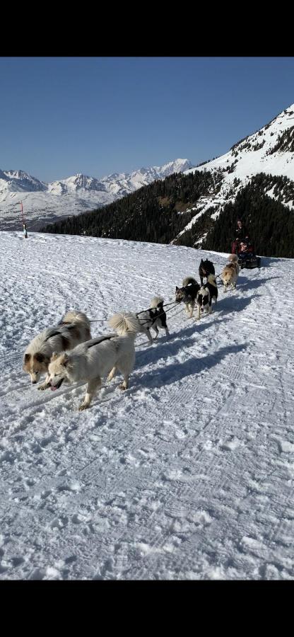 لا بلاني Bel Appartement Ski Aux Pieds Plagne Bellecote المظهر الخارجي الصورة