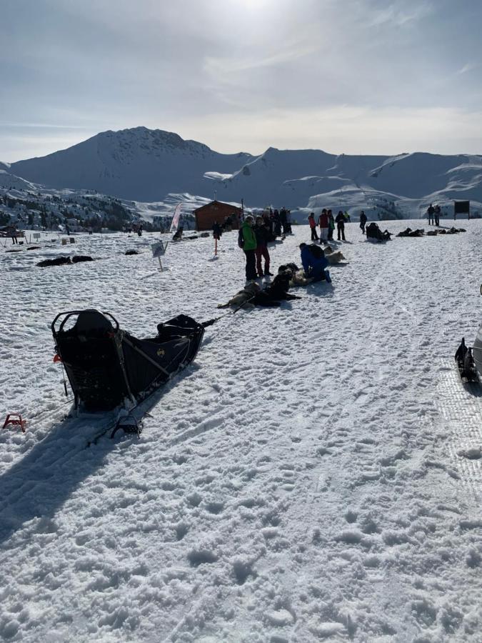 لا بلاني Bel Appartement Ski Aux Pieds Plagne Bellecote المظهر الخارجي الصورة